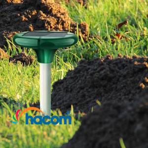 Ako sa zbavi� krtka v z�hrade: 5 osved�en�ch tipov