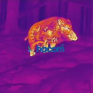 Viete, �o je termov�zia?