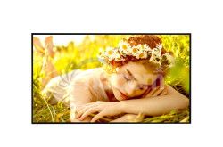 75" LG LED 75UL5 - UHD, 500cd, webOS, 16/7 75UL5Q-E.AEUQ