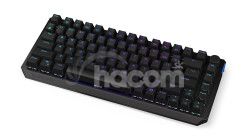 Endorfy Thock 75% Black/Drtov/Bezdrtov/US layout/ierna EY5A074