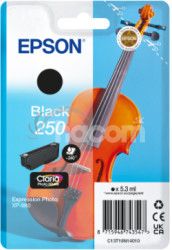 Epson Singlepack Black 250 ink C13T16N14010