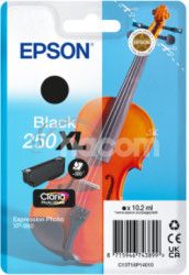 Epson Singlepack Black 250XL ink C13T16P14010
