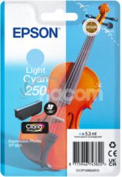 Epson Singlepack Light Cyan 250 ink C13T16N54010