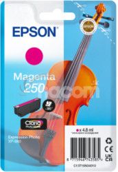 Epson Singlepack Magenta 250 ink C13T16N34010