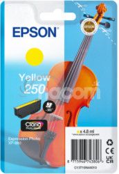 Epson Singlepack Yellow 250 ink C13T16N44010