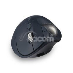 Kensington Pro Fit Ergo TB550 trackball/Ergonomick/Optick/Bezdrtov 2.4GHz & Bluetooth/Nabjac/4 K72196WW