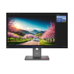 Lenovo P32UD-40 31,5