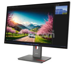 Lenovo ThinkVision/P32UD-40/31,5"/IPS/4K UHD/120Hz/4ms/ierna/3R 64A8GAT2EU