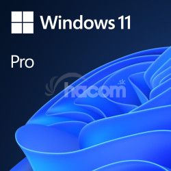 Win 11 Pro pre Wrkstns 64Bit Eng Intl 1pk OEM DVD HZV-00101