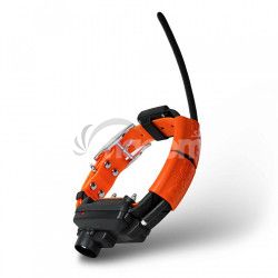 Obojok pre alieho psa DOG GPS X30TB - Oranov