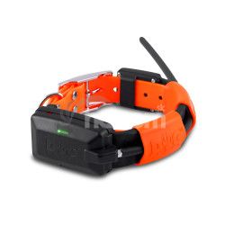 Obojok pre alieho psa DOG GPS X25 - Oranov