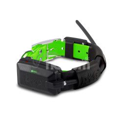 Obojok pre alieho psa DOG GPS X25 - Zelen