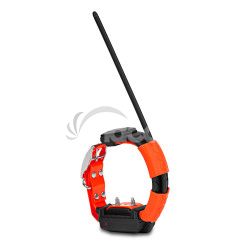 Obojok pre alieho psa DOG GPS X25T - Oranov