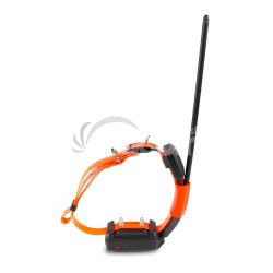 Krat obojok pre alieho psa - DOG GPS X30T Short - Oranov