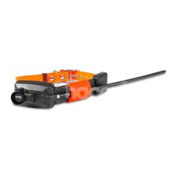 Krat obojok pre alieho psa - DOG GPS X30B Short - Oranov