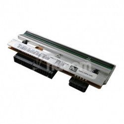 Printhead 203 dpi, ZD621T P1112640-240