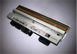 Tlaov hlava pre ZM600 300 dpi 79804M
